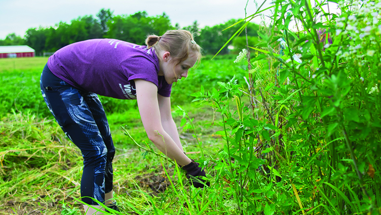 Sam St. Clair at the Madison Food Pantry Area Garden