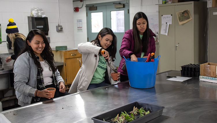 Badger Volunteers learn how to make succulents with the help of Allen Centennial Garden staff on Oct. 13, 2018.
