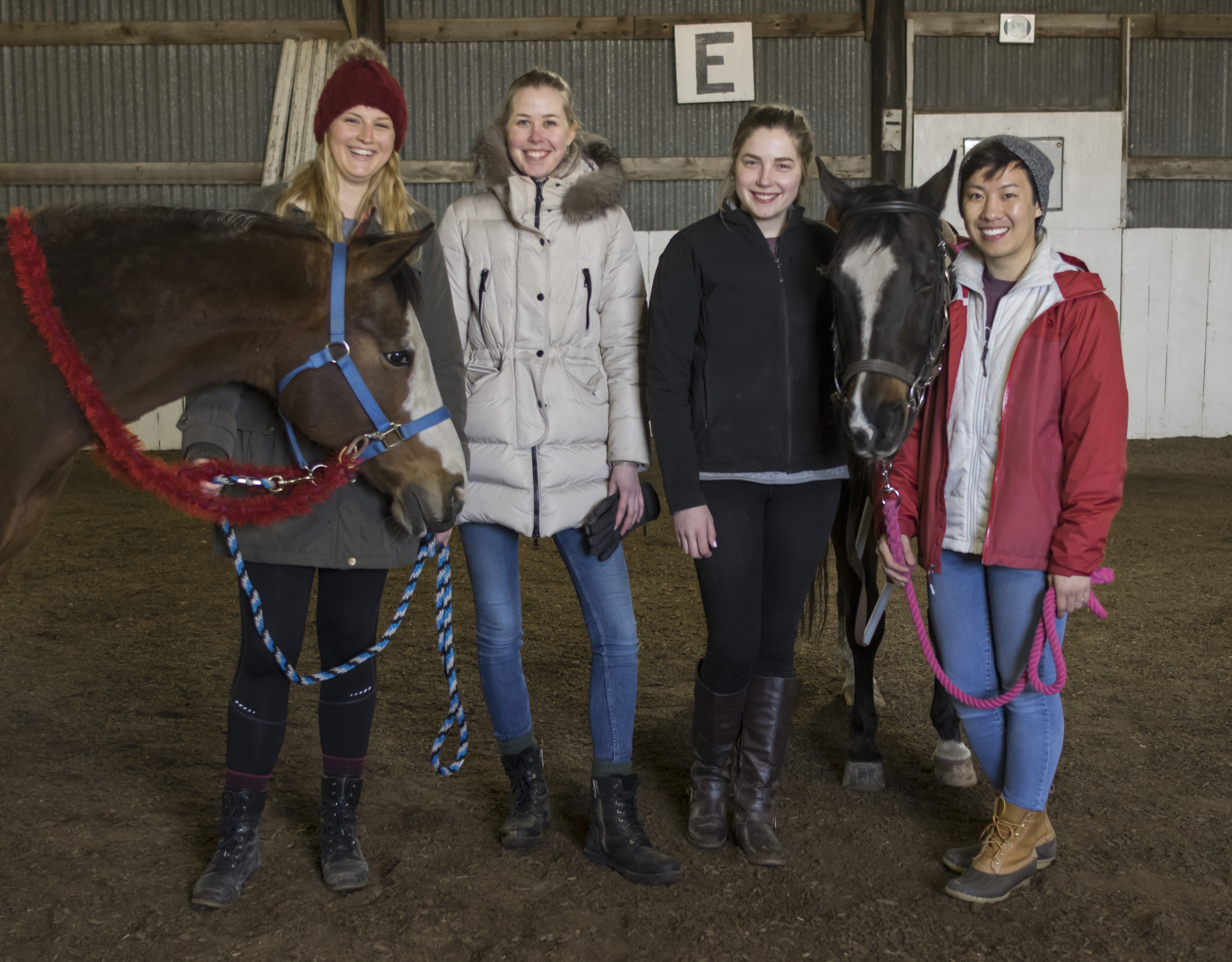 Badger Volunteers at Three Gaits, Inc