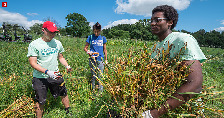 A Badger Volunteer team at the Linda & Gene Farley Center for Peace, Justice and Sustainability, a nonprofit organization dedicated to promoting ecological sustainability, social justice and peace.