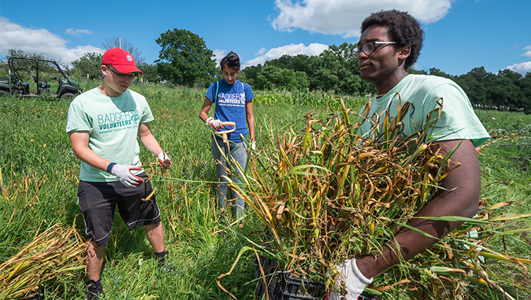 A Badger Volunteer team at the Linda & Gene Farley Center for Peace, Justice and Sustainability, a nonprofit organization dedicated to promoting ecological sustainability, social justice and peace.