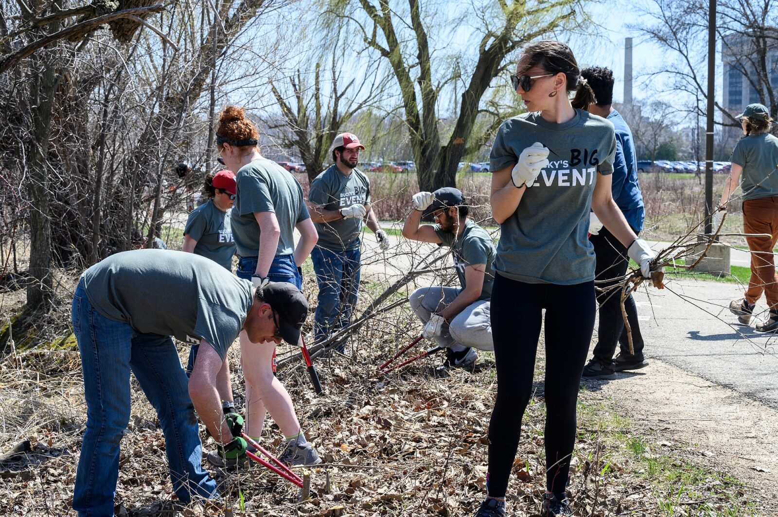Volunteers cut down and haul away invasive buckthorn branches during Bucky’s Big Event (a service day where students, staff, and faculty can volunteer and engage with the community) at the Lakeshore Preserve at the University of Wisconsin–Madison on April 12, 2023. This event is supported by the Chancellor’s Office, the Morgridge Center for Public Service, and the Office of Sustainability and is part of Investiture, a series of special campus events planned for April 3-15 to celebrate the university a